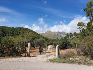 Foto aus „Mallorca“