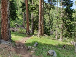 Foto aus „3Länder Enduro Nauders“