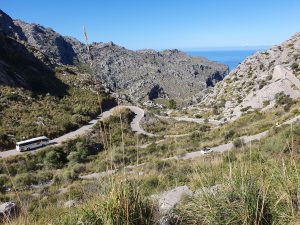 Foto aus „Mallorca“