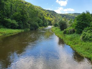 Foto aus „Kamptal Radweg“
