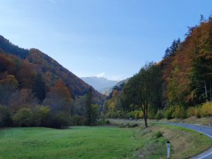 Foto aus „Rund um den Schneeberg“