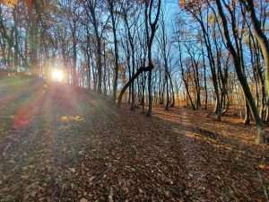 Foto aus „Mein Revier im Herbst“