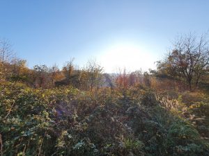 Foto aus „Mein Revier im Herbst“