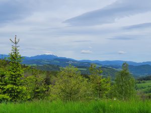 Foto aus „Mönichkirchen am Wechsel und Bucklige Welt“