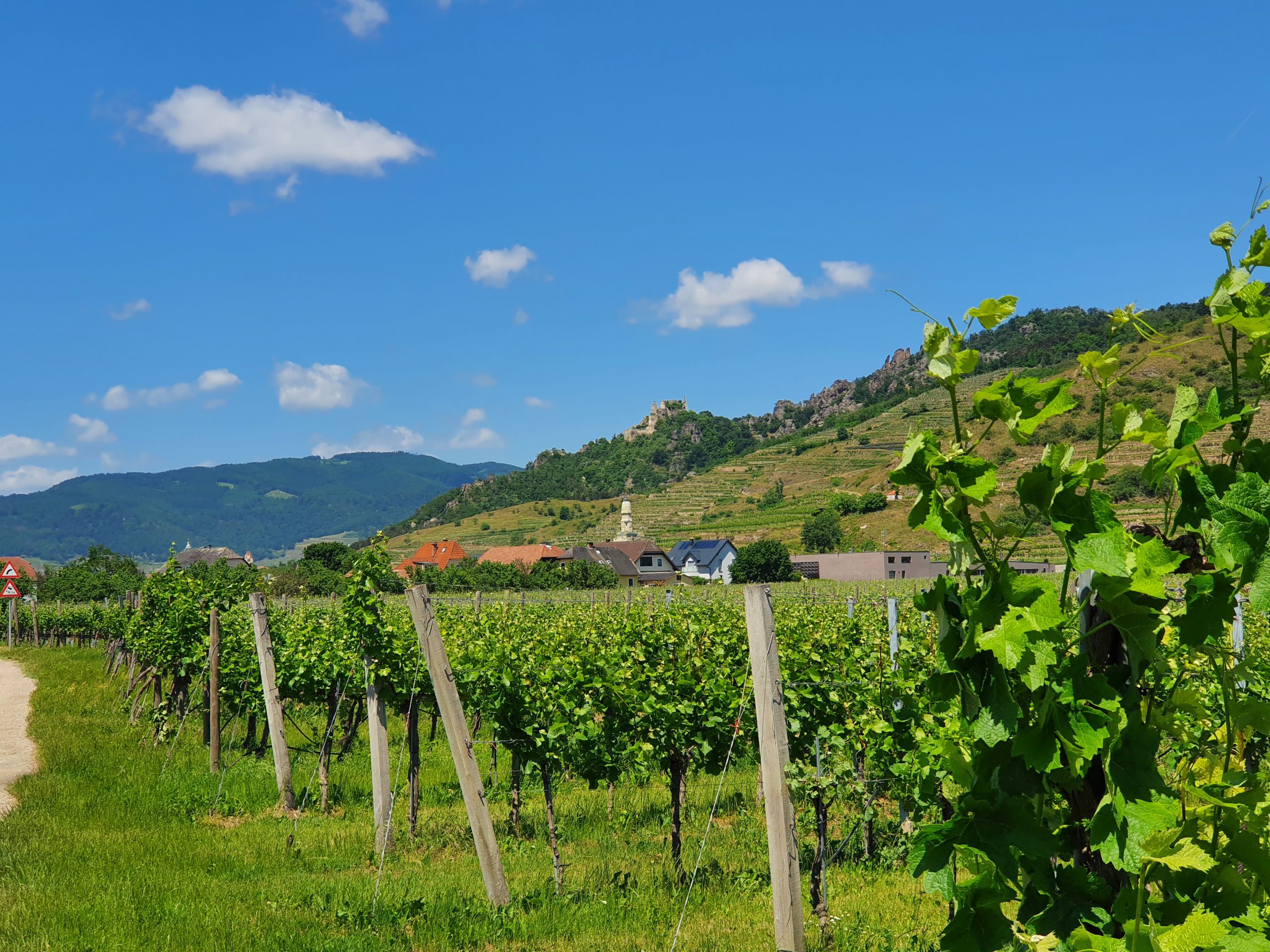 Longest Ride: Wien – Melk – Wien