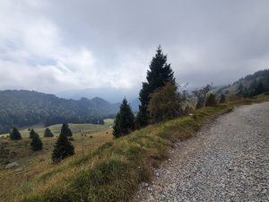 Foto aus „Gardasee-Weekend!“