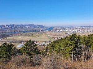 Foto aus „Trail-Run Bisamberg“