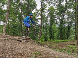 Foto aus „Trail-Area Stift Göttweig“