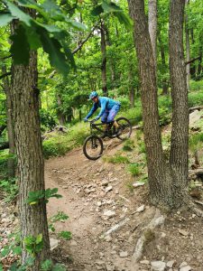Foto aus „Trail-Area Stift Göttweig“
