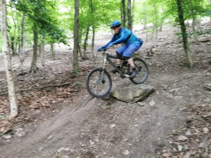 Foto aus „Trail-Area Stift Göttweig“