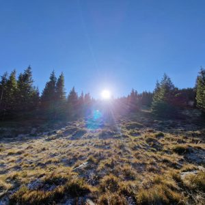 Foto aus „Hochwechsel im November: Kalt und Sonne“
