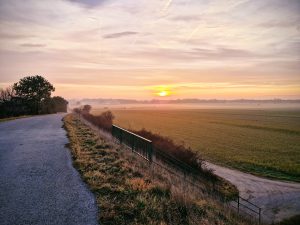 Foto aus „Trailrun mit Insta360 x3“