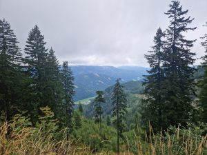 Foto aus „Tolle Bergstraße in NÖ: Hochkar“