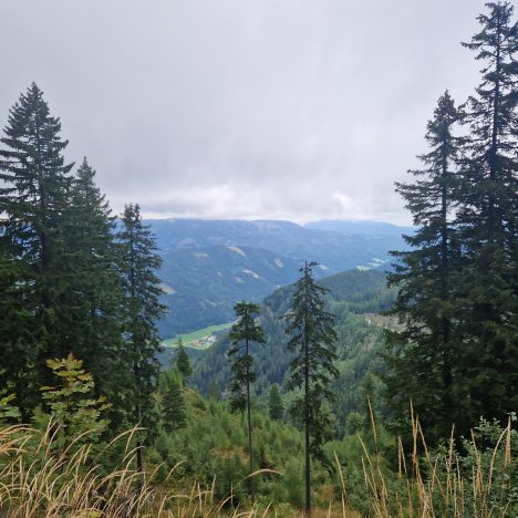 Transalp: in 5 Tagen über die Alpen