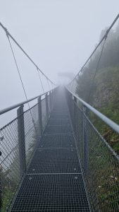 Foto aus „Tolle Bergstraße in NÖ: Hochkar“