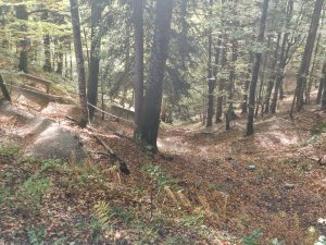 Foto aus „Kitzbühler Trail-Wochenende“