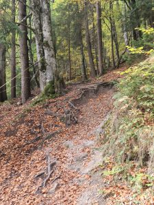 Foto aus „Kitzbühler Trail-Wochenende“