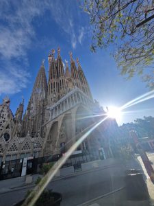Foto aus „Girona  – das Mekka der Rennräder“