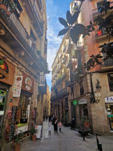 Foto aus „Girona  – das Mekka der Rennräder“