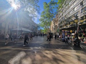 Foto aus „Girona  – das Mekka der Rennräder“