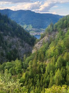 Foto aus „My First Bikepacking (1 Tag)“