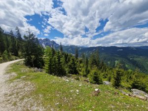 Foto aus „My First Bikepacking (1 Tag)“