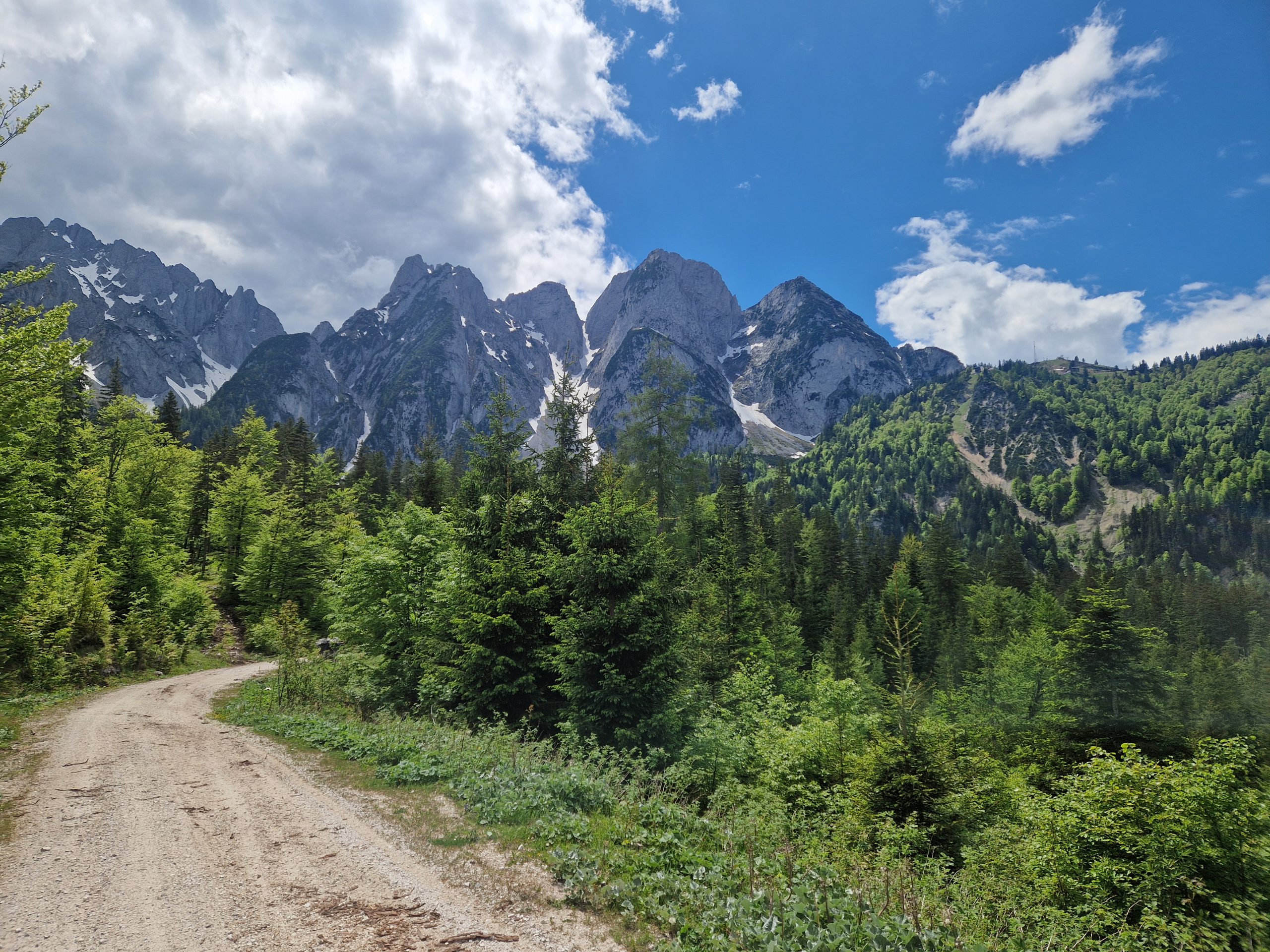 My First Bikepacking (1 Tag)