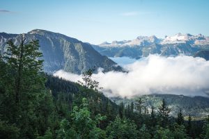 Foto aus „Salzkammergut Trophy – Strecke D wie dreckig“