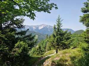 Foto aus „Schneeberg Traillauf“
