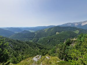 Foto aus „Schneeberg Traillauf“
