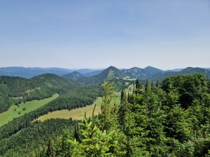 Foto aus „Schneeberg Traillauf“