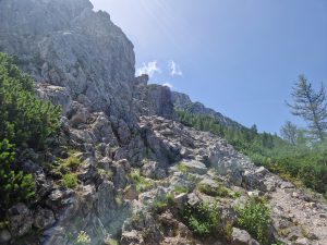 Foto aus „Schneeberg Traillauf“