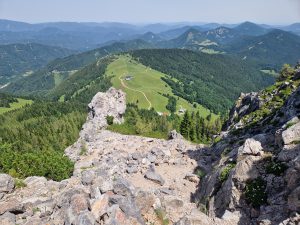 Foto aus „Schneeberg Traillauf“