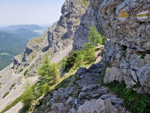 Foto aus „Schneeberg Traillauf“