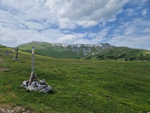 Foto aus „Schneeberg Traillauf“