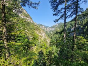 Foto aus „Trailrun Ötscher Längsquerung“