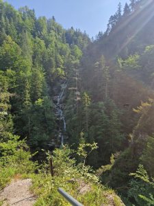 Foto aus „Trailrun Ötscher Längsquerung“