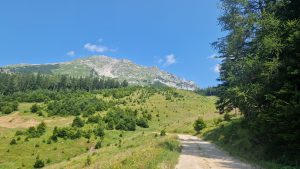 Foto aus „Trailrun Ötscher Längsquerung“