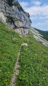 Foto aus „Trailrun Ötscher Längsquerung“