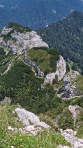 Foto aus „Trailrun Ötscher Längsquerung“