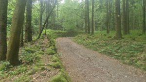 Foto aus „Bike-Road-Trip durch tschechisch-polnische Trailparks“