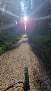 Foto aus „Bike-Road-Trip durch tschechisch-polnische Trailparks“