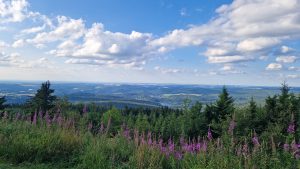 Foto aus „Bike-Road-Trip durch tschechisch-polnische Trailparks“