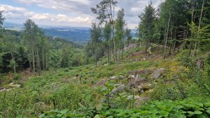 Foto aus „Bike-Road-Trip durch tschechisch-polnische Trailparks“