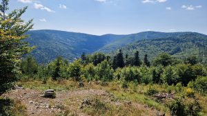 Foto aus „Bike-Road-Trip durch tschechisch-polnische Trailparks“