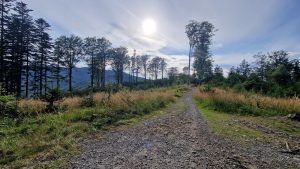Foto aus „Bike-Road-Trip durch tschechisch-polnische Trailparks“