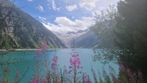 Foto aus „Zillertaler Steinbocklauf – Trailrun über die Mönchner Scharte“