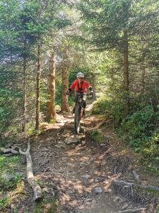 Foto aus „Bike-Road-Trip durch tschechisch-polnische Trailparks“