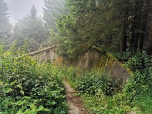 Foto aus „Bike-Road-Trip durch tschechisch-polnische Trailparks“