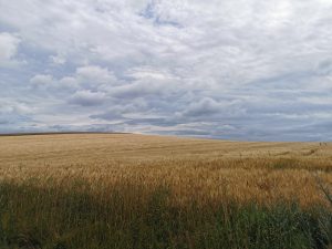 Foto aus „Bike-Road-Trip durch tschechisch-polnische Trailparks“